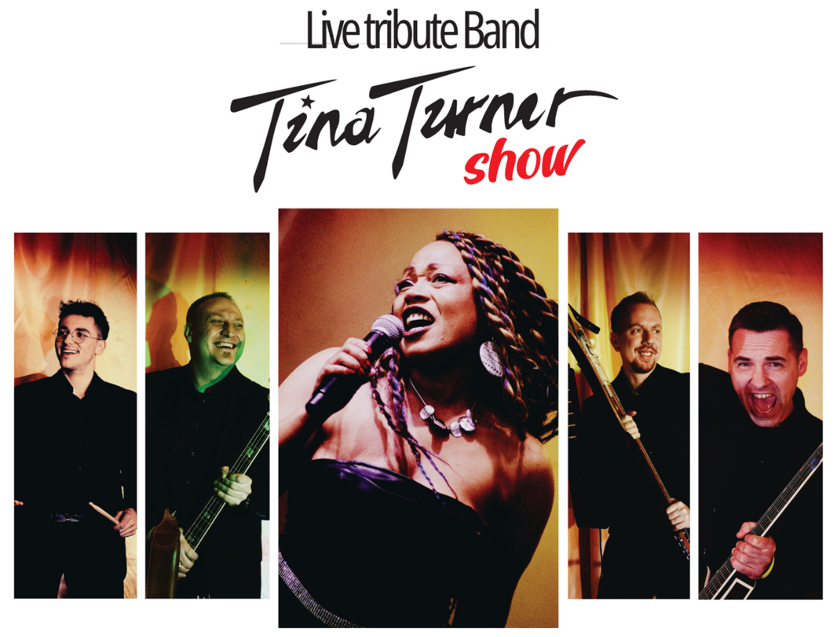 Tina Turner Show